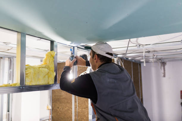 Best Wall Insulation Contractor  in Blue Ridge, AL