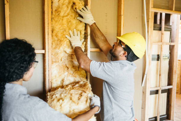 Best Professional Insulation Contractor  in Blue Ridge, AL