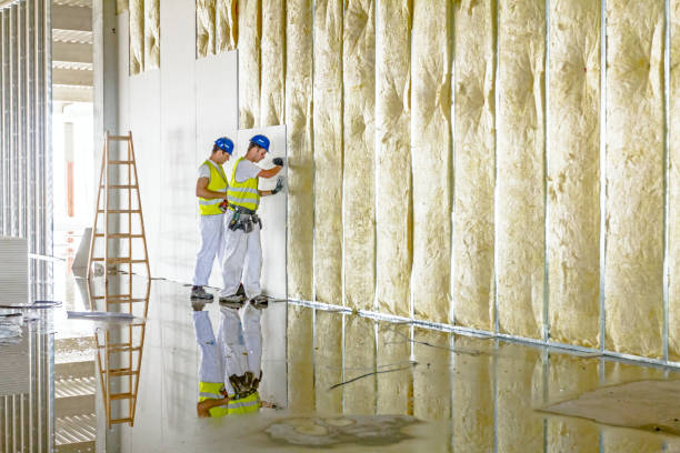 Best Attic Insulation Installation  in Blue Ridge, AL